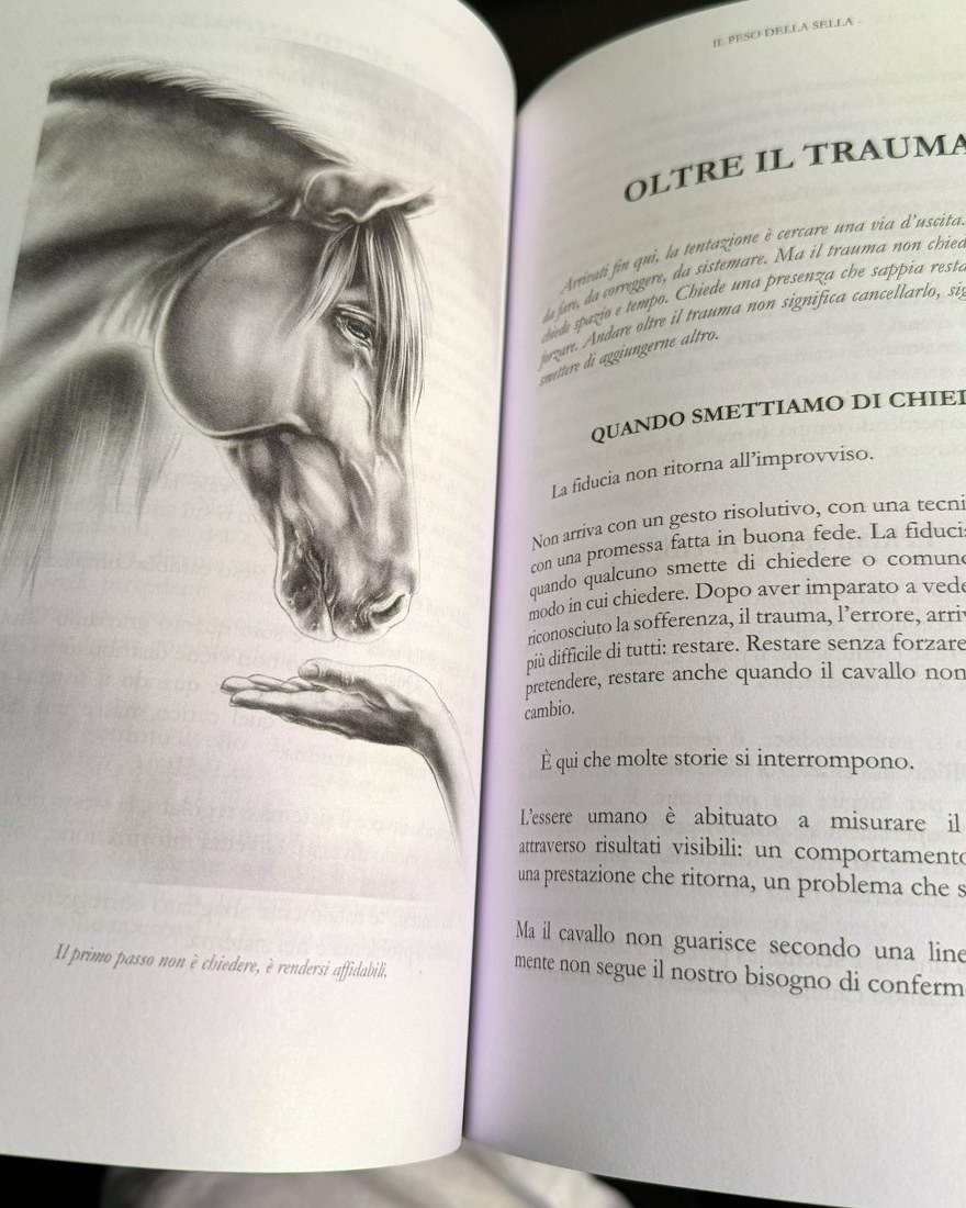 Oltre il trauma, pagina del libro