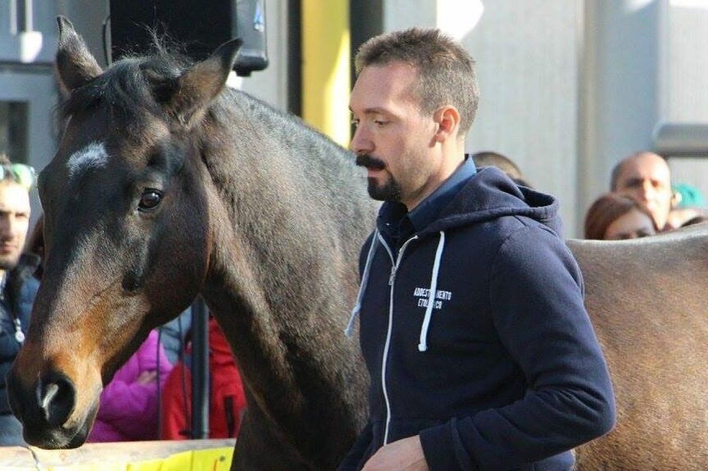 Alberto Alessi con il cavallo Falco a Fieracavalli
