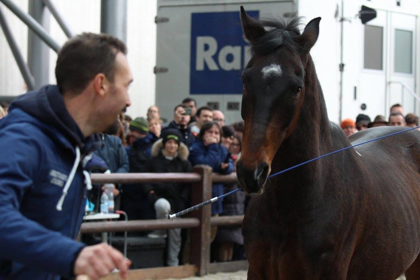 Alberto Alessi lavora con un cavallo davanti al pubblico