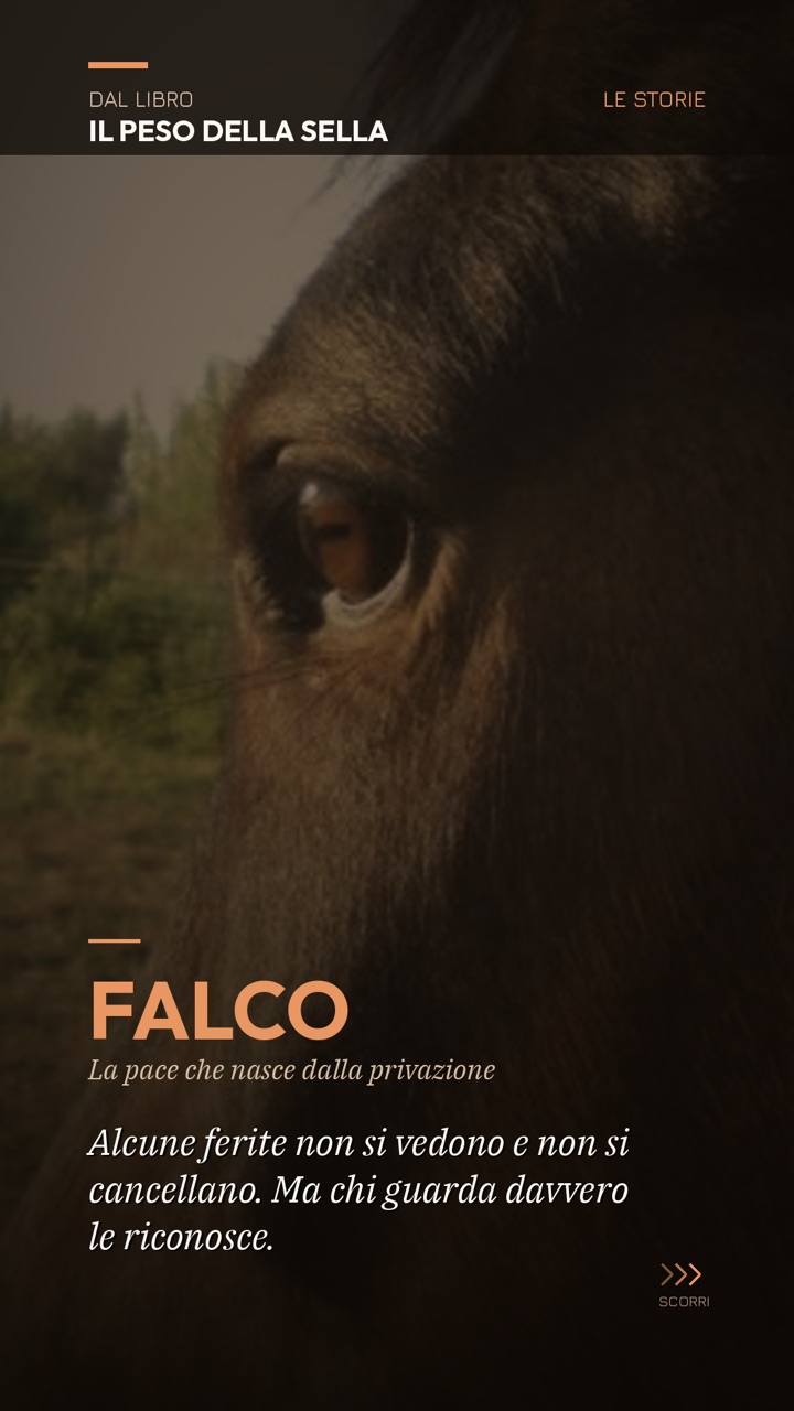 Falco: la frase del libro
