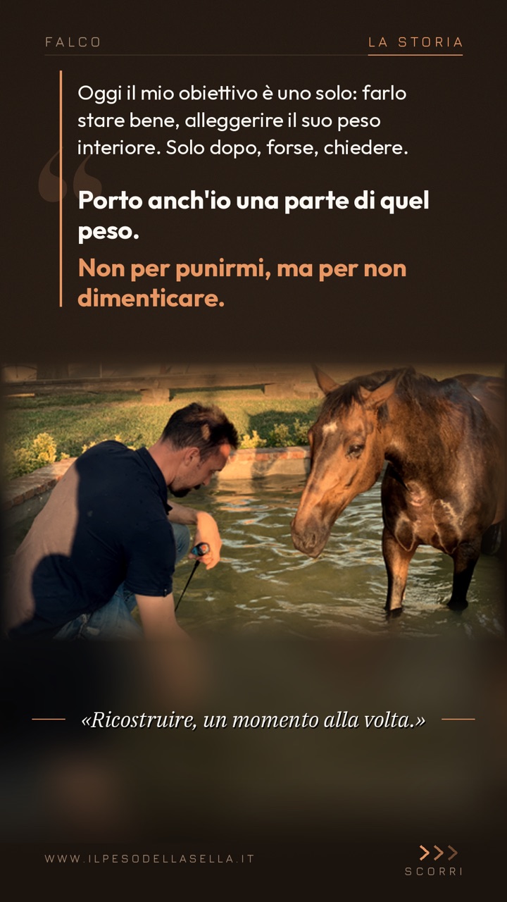 Falco: il legame