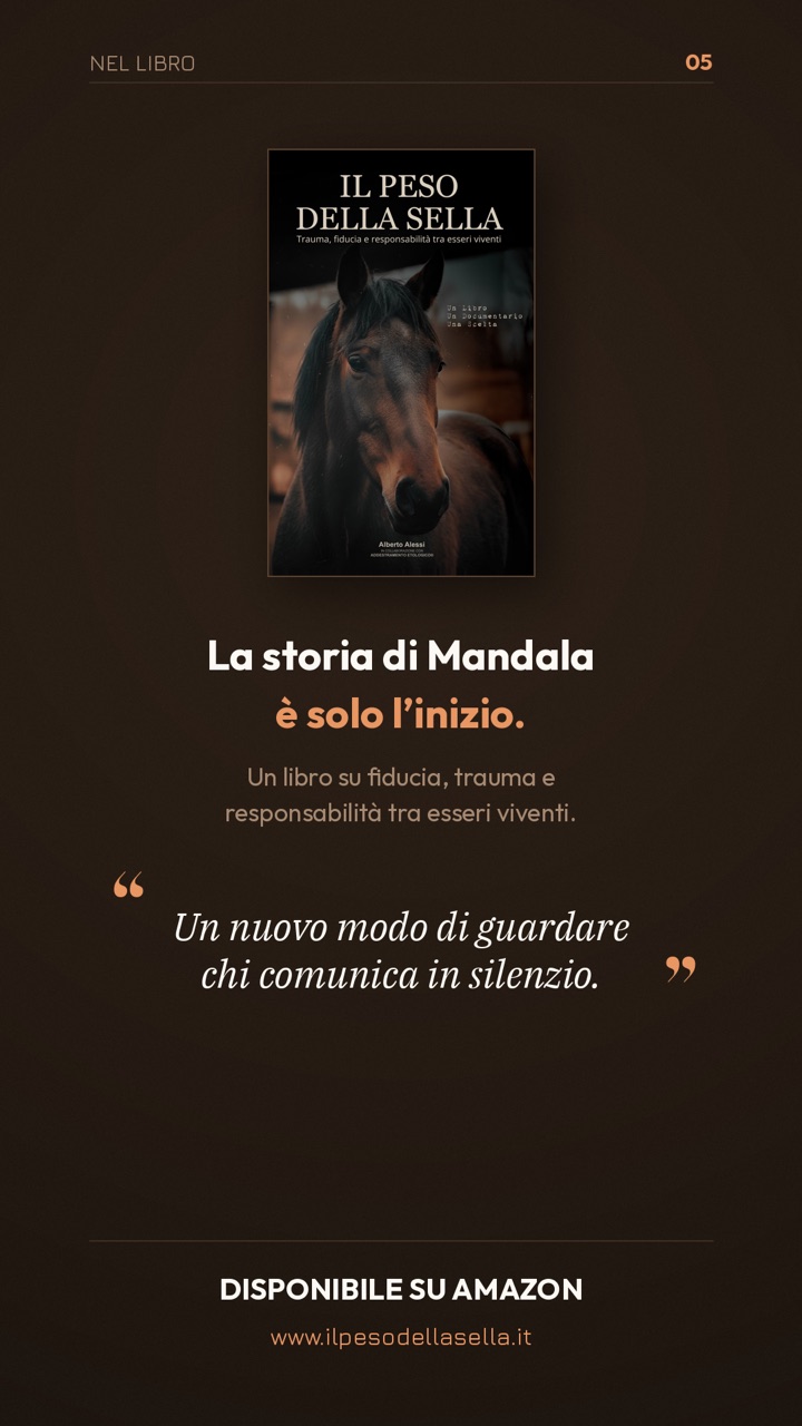 Mandala: il libro